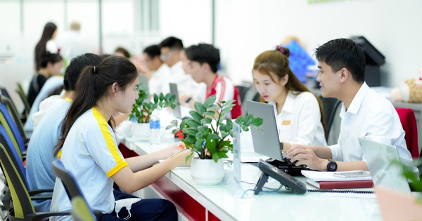 Université de Saigon, Université de Technologie, Université d'Economie