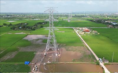 Western Power Transmission 1 ជួយបង្កើនការកាត់បន្ថយការបាត់បង់ការបញ្ជូន