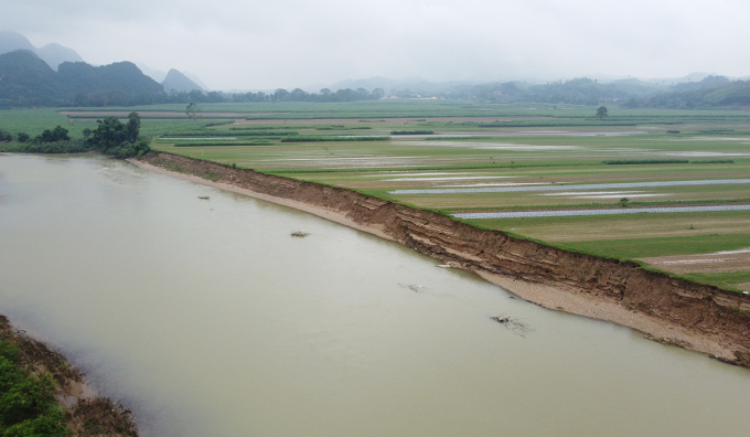 The Lam River bank through Dinh Thang village, Dinh Son commune, has collapsed, swallowing up large areas of agricultural land. Photo: Duc Hung