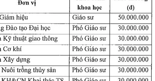 Universities reward those appointed as professors and associate professors with 30-50 million VND