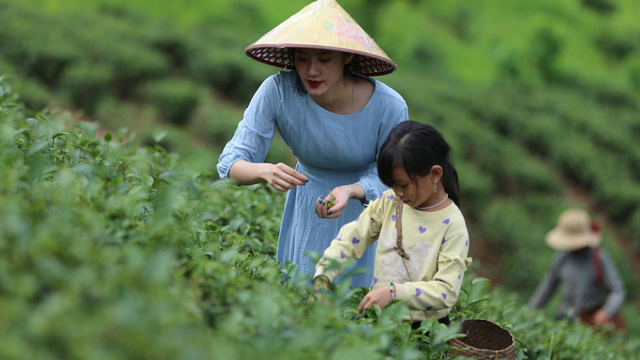 "Món ăn lạ" đang trở thành xu hướng phát triển bền vững