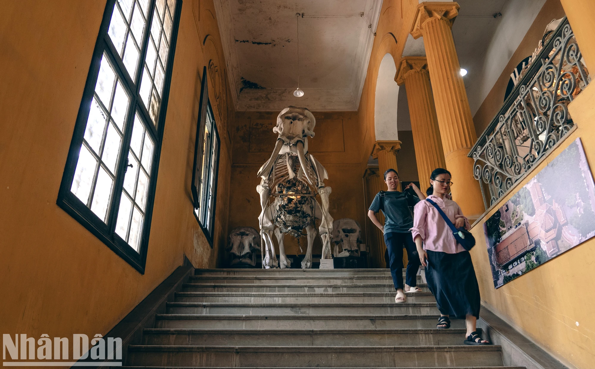 Universität für Allgemeine Wissenschaften: „Wissenshörsaal“ erwacht durch kreative Kunst Foto 10