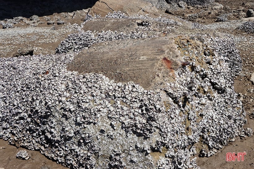 El contratista “olvidó” cientos de toneladas de “basura” de piedra y hormigón bajo el puente Cua Nhuong