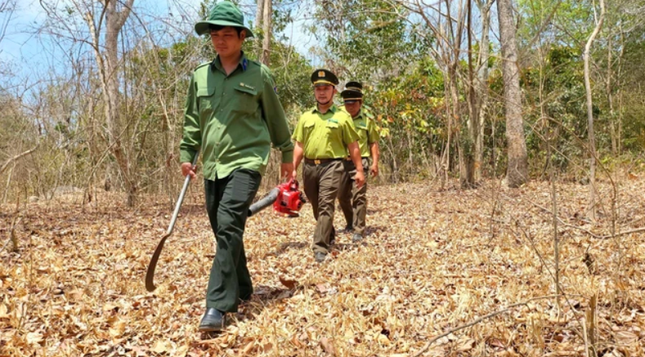 บาเรีย-วุงเต่า : ความเสี่ยงจากไฟป่าอยู่ในระดับสูงสุด ภาพที่ 5