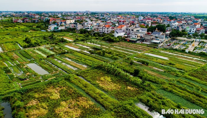 Hải Dương là điểm sáng trong xây dựng các văn bản quy phạm pháp luật thực hiện Luật Đất đai năm 2024