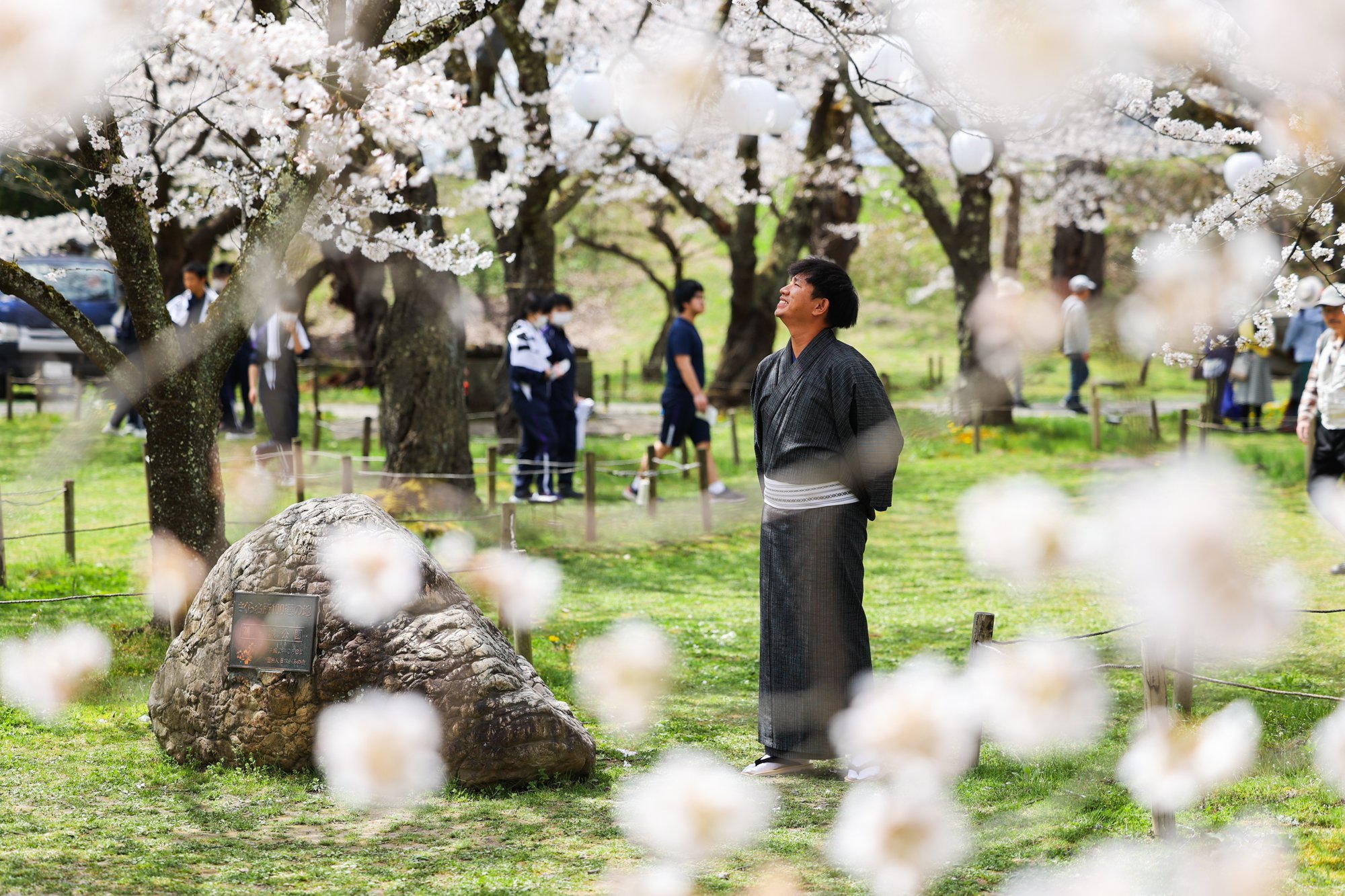 Khách Việt trải nghiệm mặc kimono, ngắm hoa anh đào ở Nhật Bản- Ảnh 2.