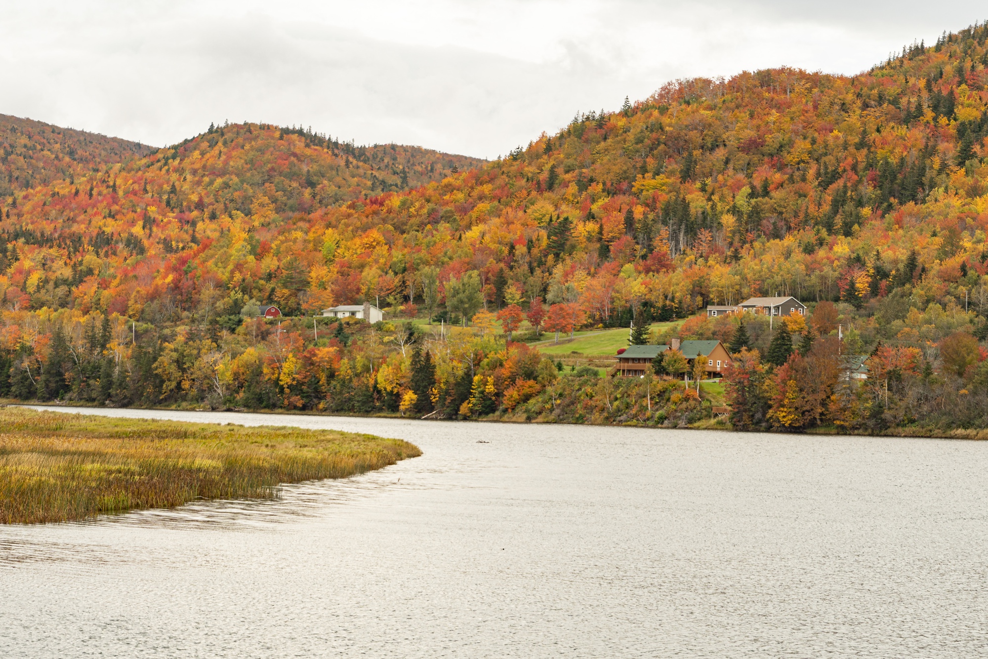 Ngắm Sắc Thu Rực Rỡ Ở Nova Scotia - Ảnh 5.