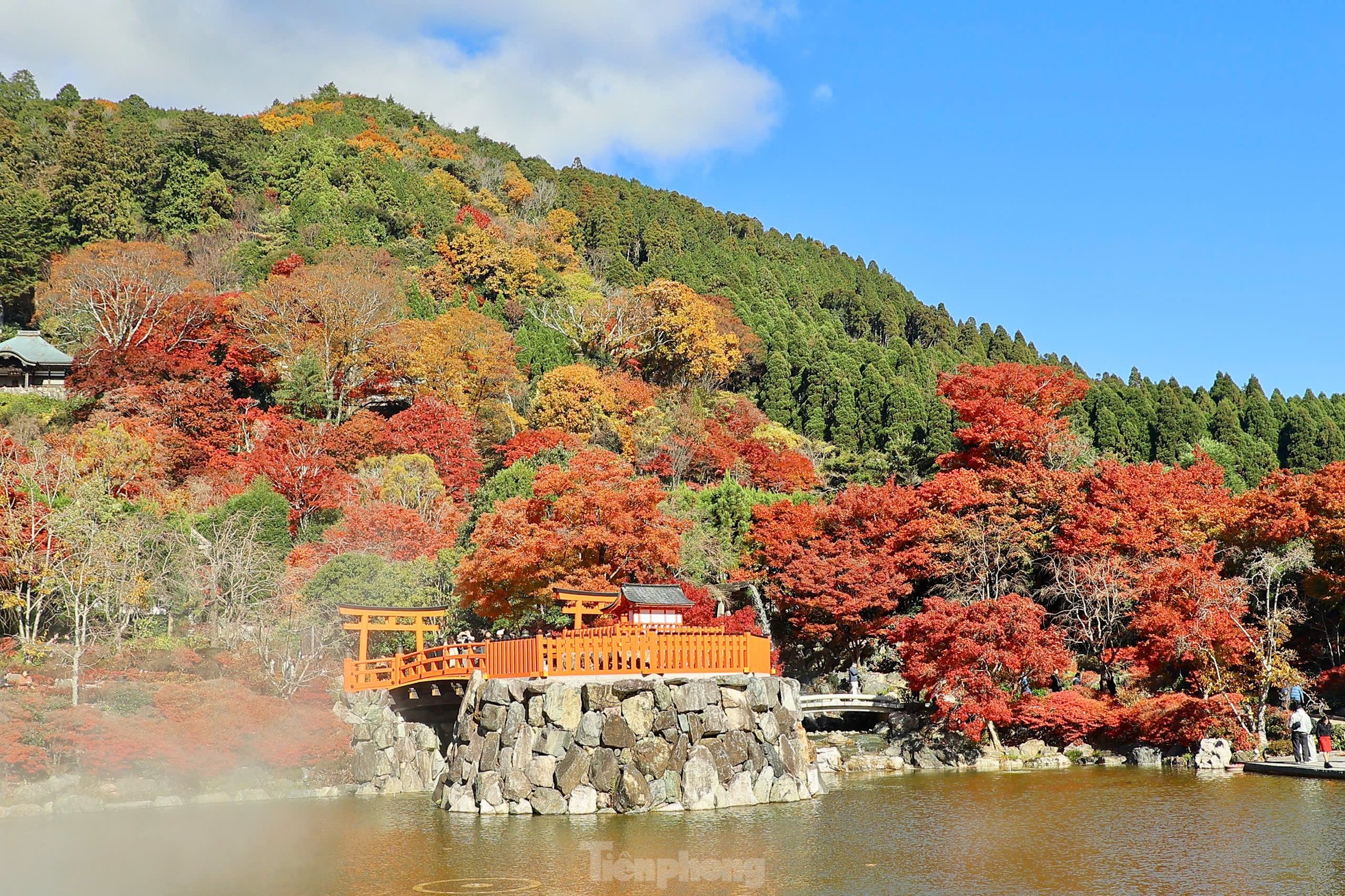 Fasziniert von der Herbstlandschaft mit roten und gelben Blättern in Japan, Foto 4