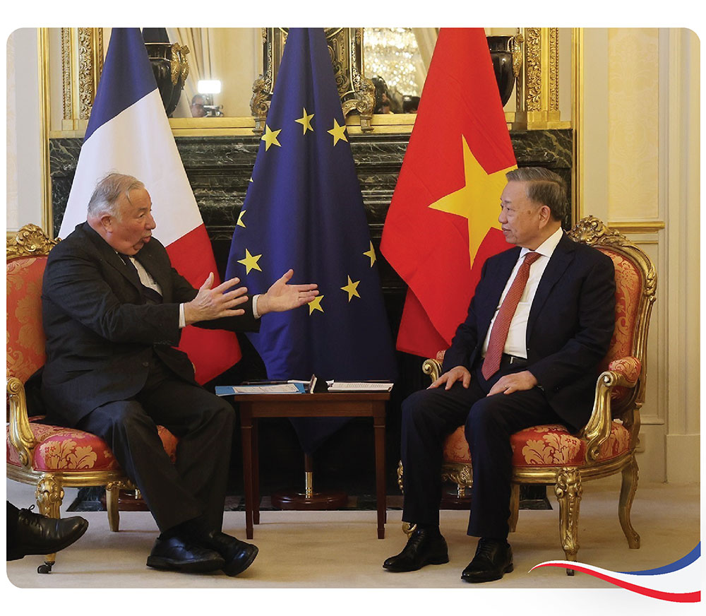 Le pilier économique « brille » avec une étape importante dans les relations franco-vietnamiennes - Photo 3