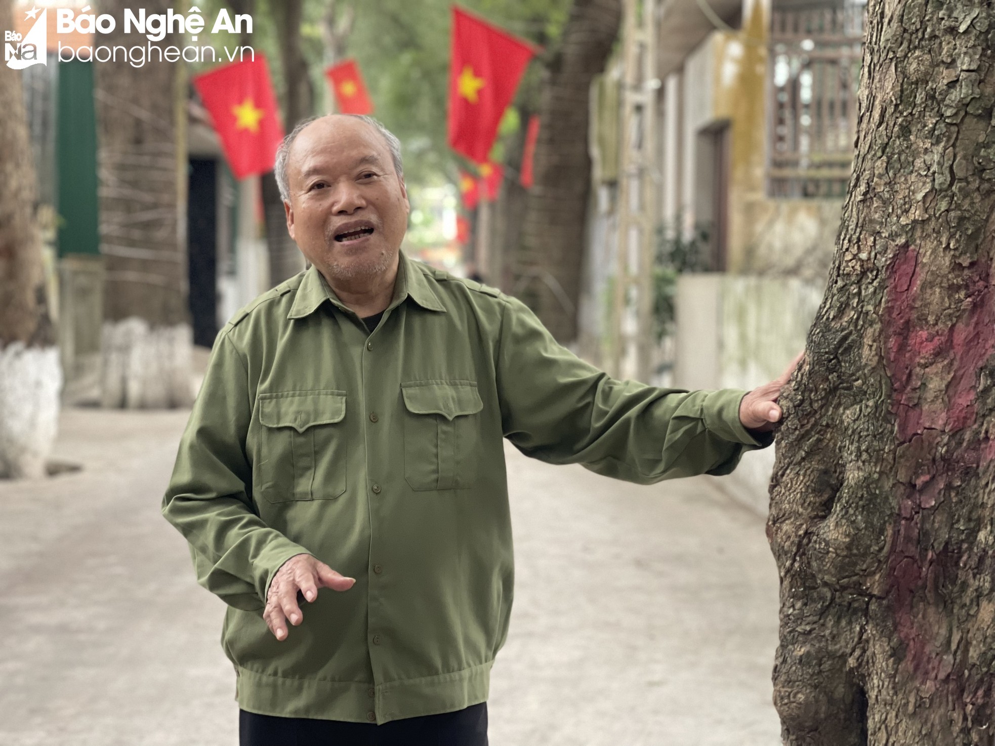 Old marks on the young urban area of ​​Thai Hoa photo 9