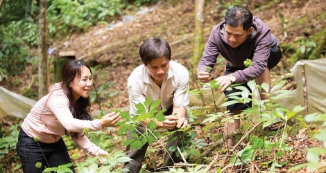 Các bộ, địa phương góp ý Đề án Phát triển, hình thành Trung tâm công nghiệp dược liệu