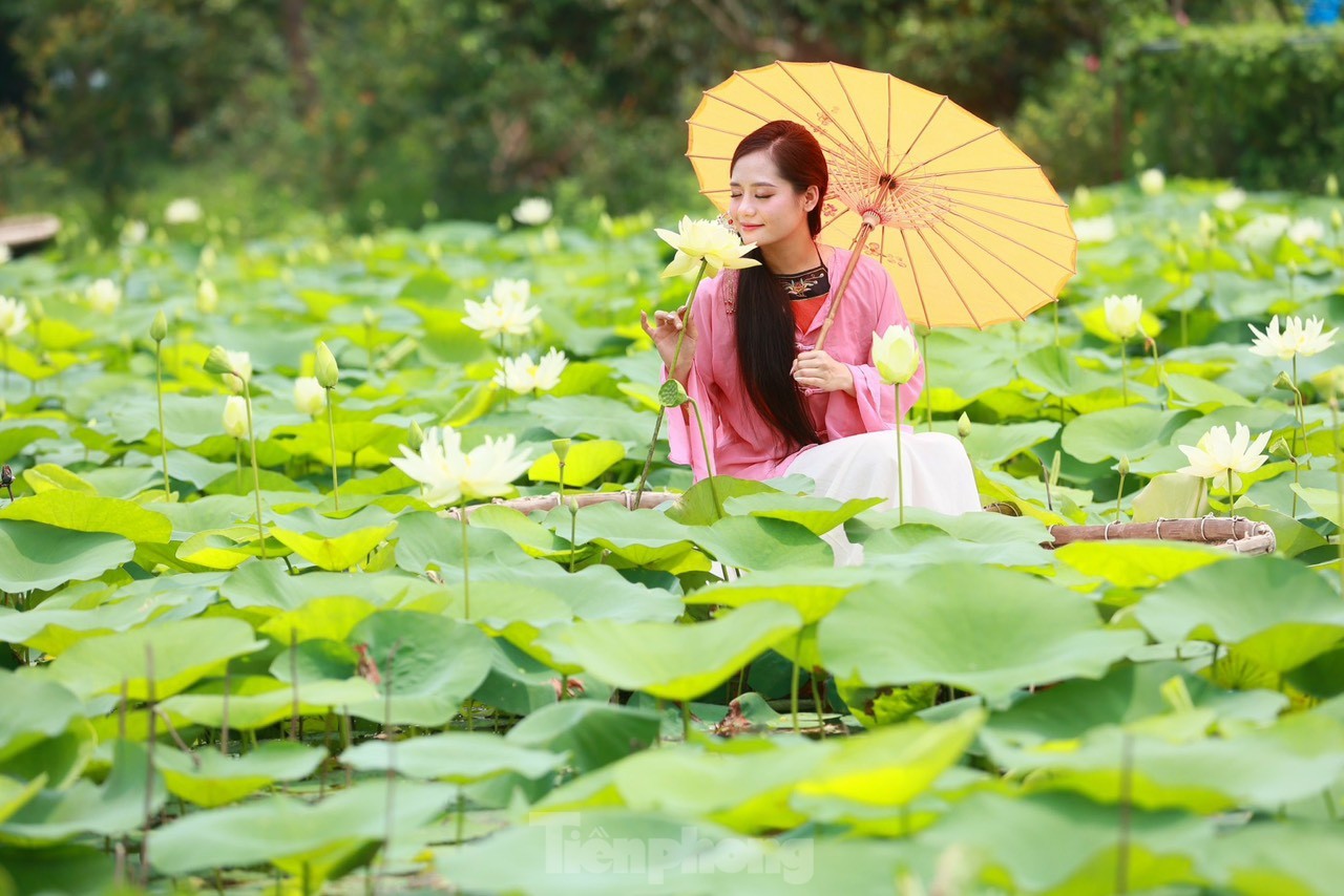 Des jeunes portant l'Ao Dai prennent des photos à côté de fleurs de lotus blanches, photo 9