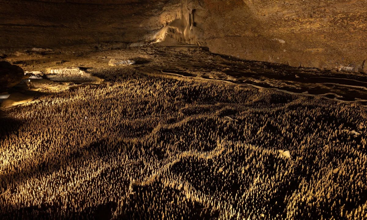 '100,000 soldiers' structure in French cave