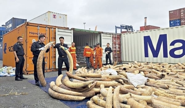 Les douanes vietnamiennes coopèrent pour lutter contre la contrebande et la criminalité transnationale