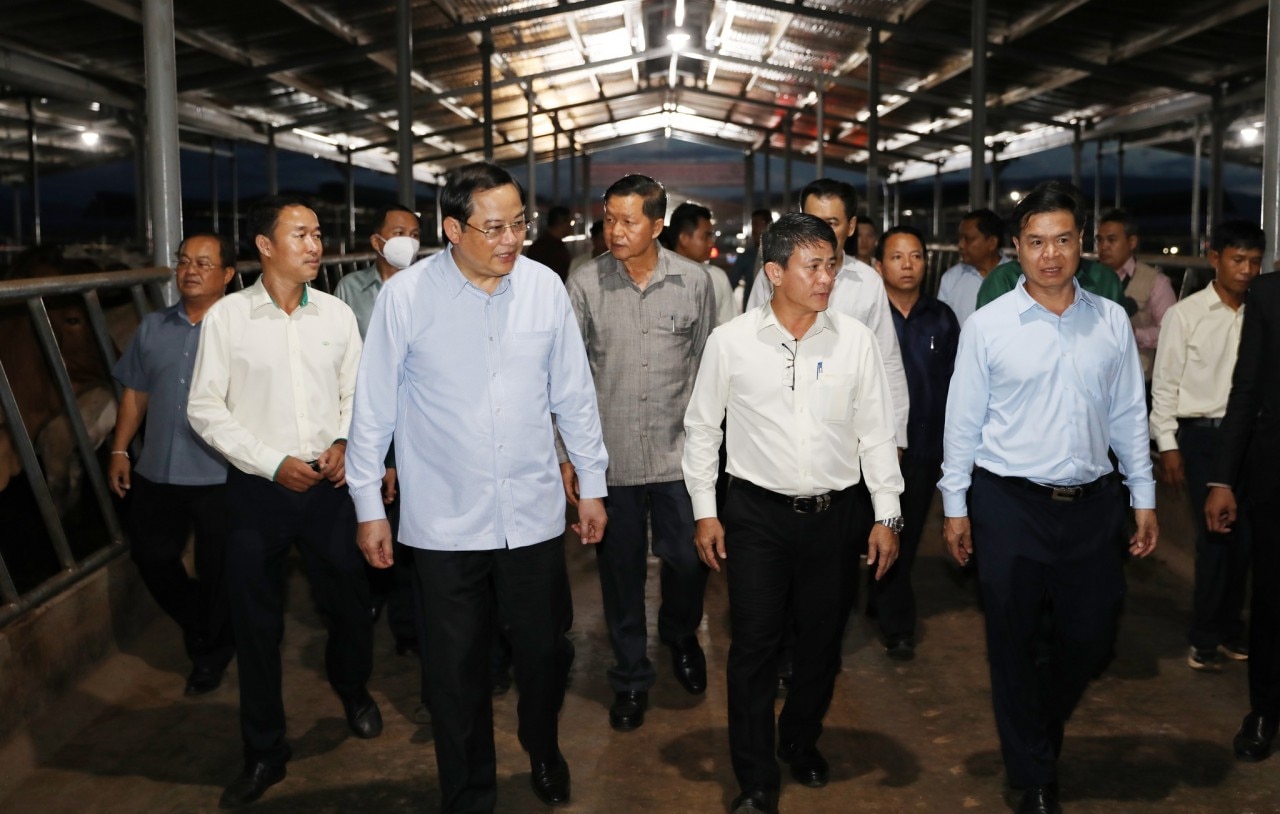 Trái ngọt đầu tư hợp tác Việt – Lào Trái ngọt đầu tư hợp tác Việt – Lào