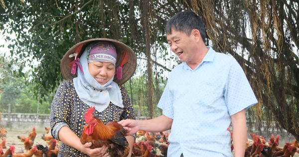 El Sr. Phuong Hung Ha, la Sra. Thuy Dong Hung y el Sr. Phuong Thai Thuy, cada uno con su propia manera de hacer las cosas, todos se convirtieron en millonarios.