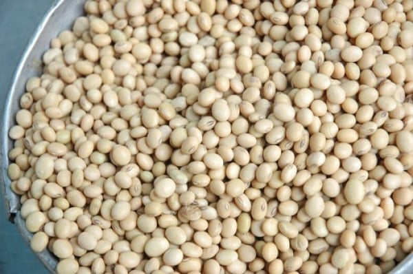 Soybean imports in the first 9 months of 2024 increased in volume, decreased in value