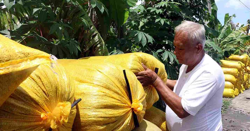 Rice prices remain high, farmers in the West have a big Tet once every 10 years