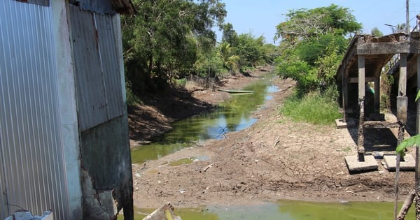 Kien Giang province announces emergency situation regarding landslides and subsidence in the U Minh Thuong buffer zone