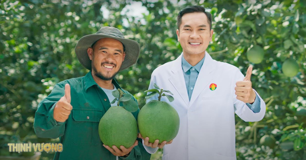 Ca Mau Fertilizer und die Reise mit den Lastwagen, die die goldene Jahreszeit „erwecken“