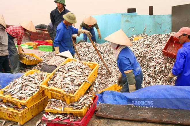 Exploiter les ressources marines pour développer l'industrie de transformation des produits de la mer