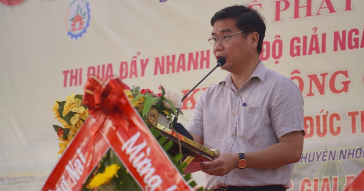 After the chairman was removed, Nhon Trach district has a vice chairman in charge.