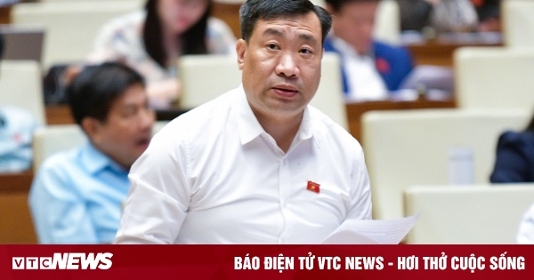 Delegado de la Asamblea Nacional: Vietnam perdió más de 1 billón de VND por publicidad en línea