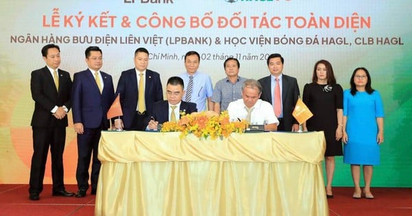 Mr. Duc's Hoang Anh Gia Lai successfully offered 130 million individual shares