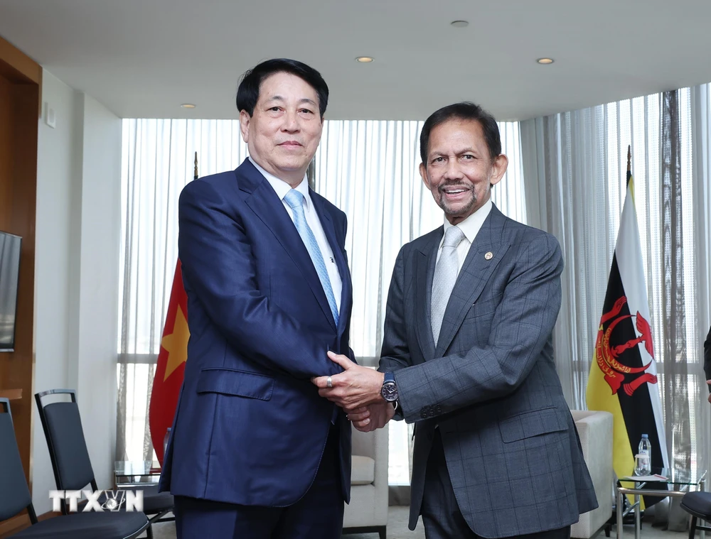 El presidente Luong Cuong se reúne con el sultán de Brunei Hassanal Bolkiah. (Foto: Lam Khanh/VNA)