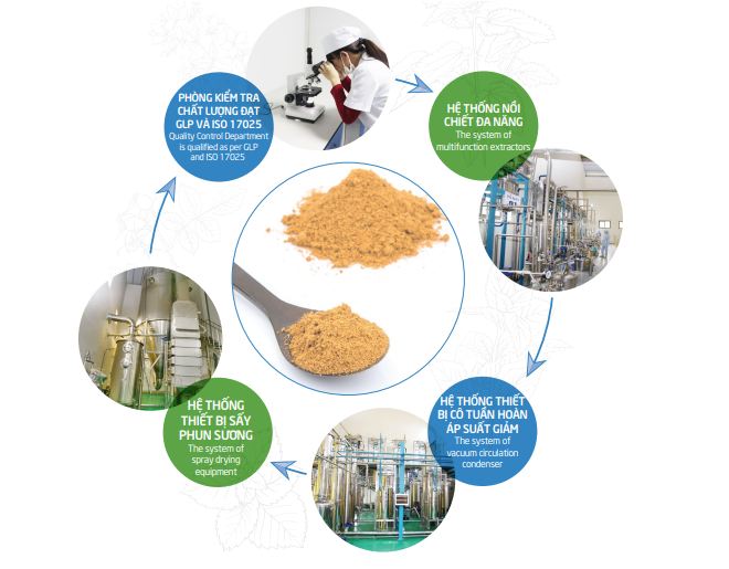 Dry extract production process at Vietmec's high-tech processing factory.