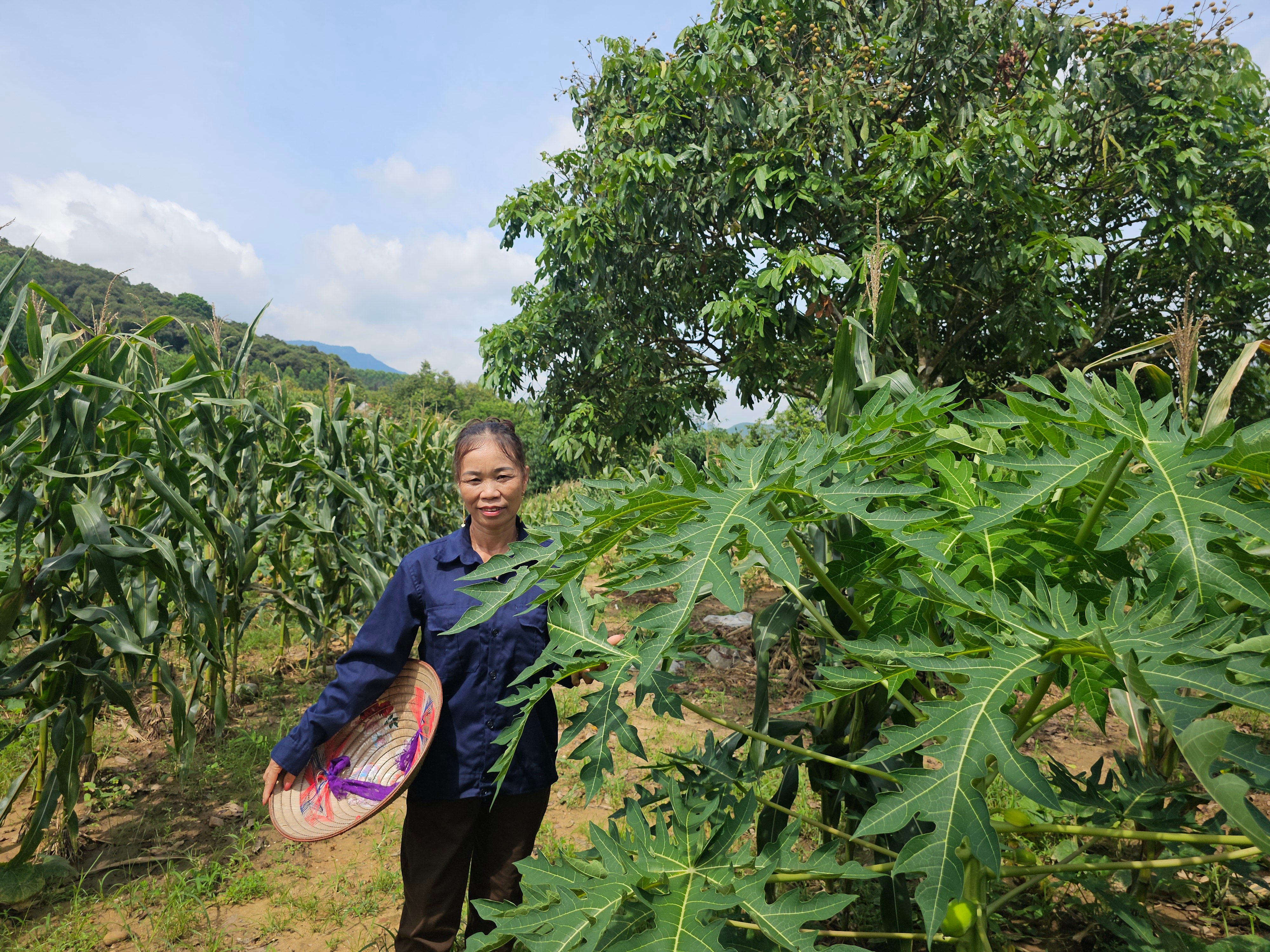 Mẹ đơn thân có "của ăn của để" nhờ khởi nghiệp từ nông sản địa phương- Ảnh 1.