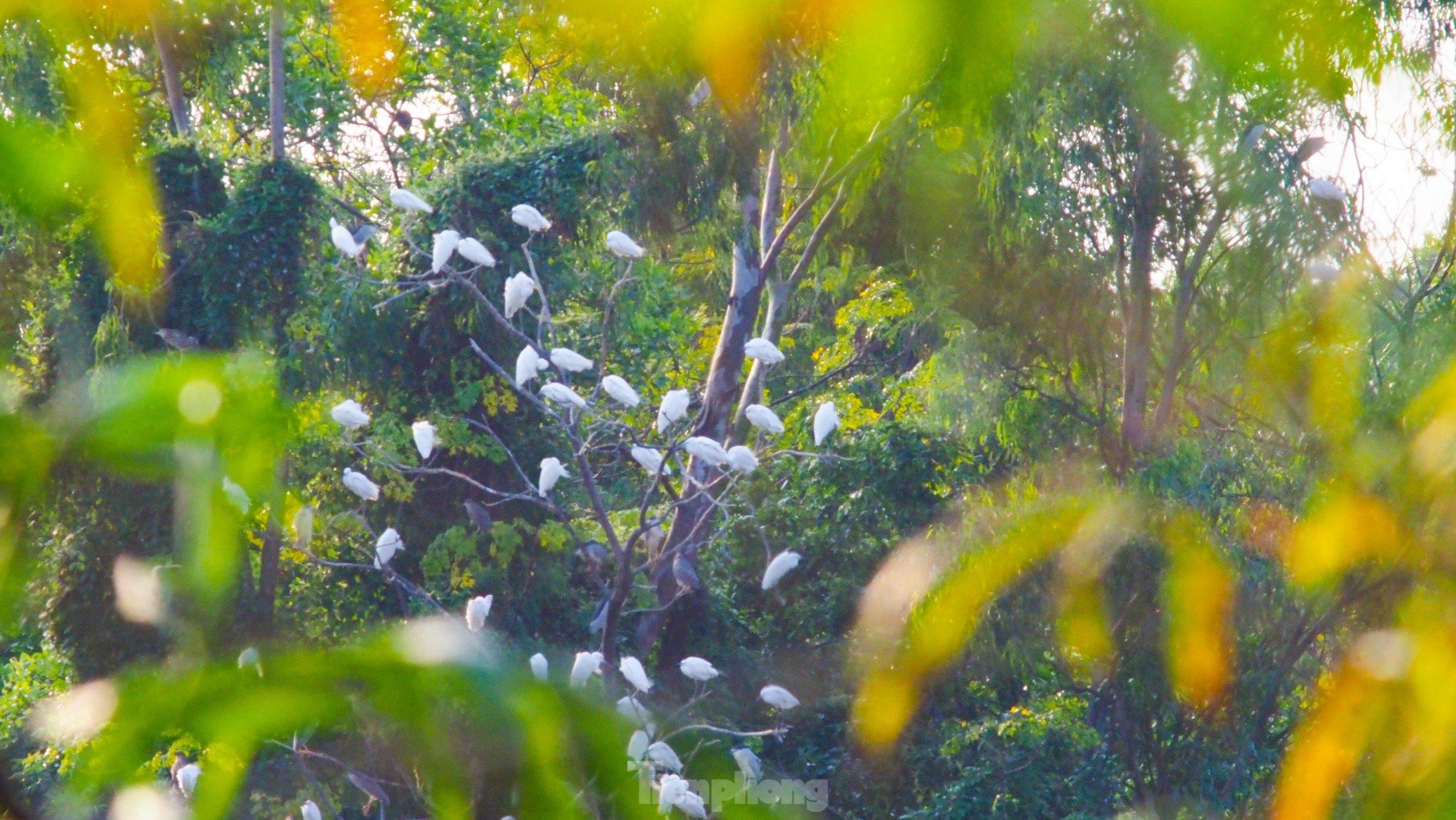 วิทยาเขตที่เป็นเอกลักษณ์ของมหาวิทยาลัยเกษตรศาสตร์และป่าไม้ Bac Giang ภาพที่ 5