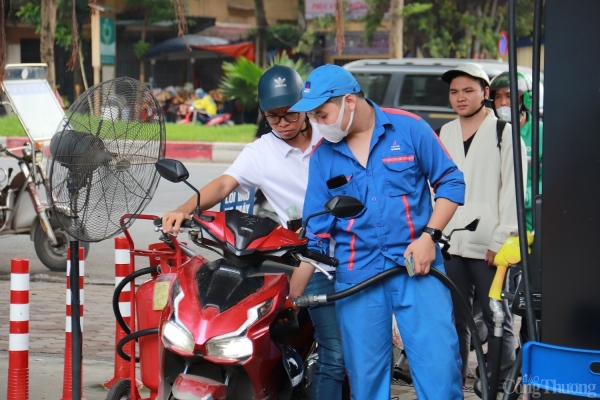 Tiếp đà tăng trong tuần