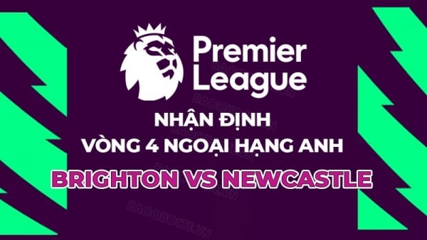 Comentarios, cuotas Brighton vs Newcastle, 23:30 2 de septiembre