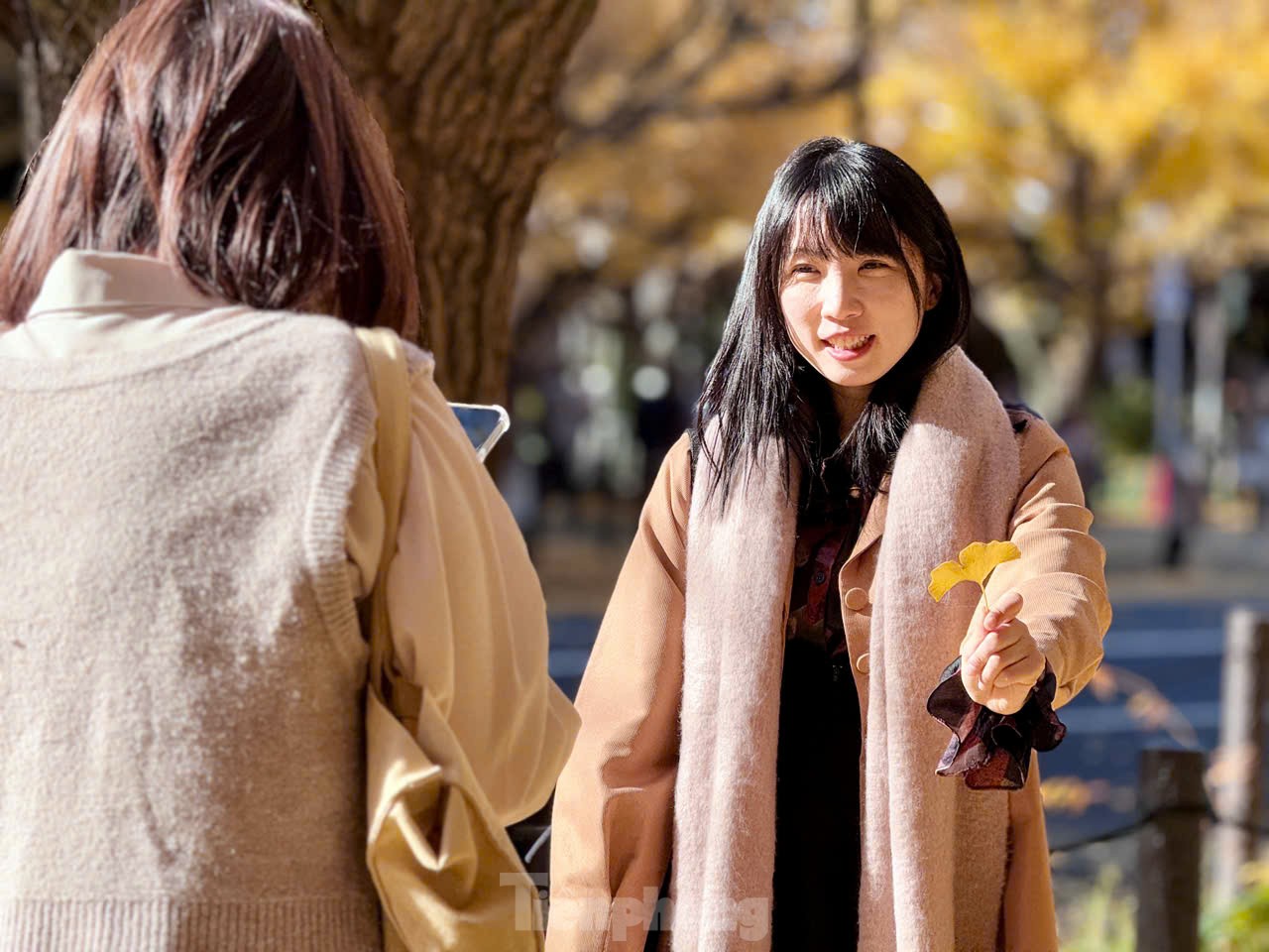 Fasziniert von der Herbstlandschaft mit roten und gelben Blättern in Japan Foto 35