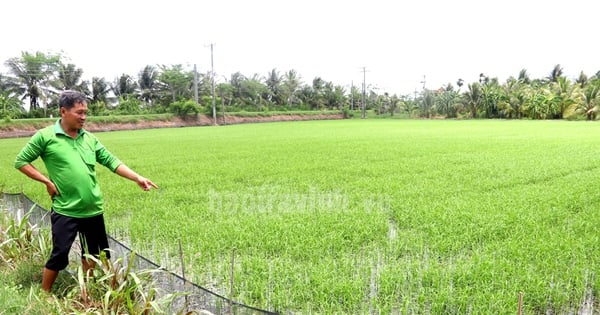 Con vật quái ác nào đang rình phá hoại tài sản khiến Phó Chủ tịch tỉnh Trà Vinh ký quyết định này?