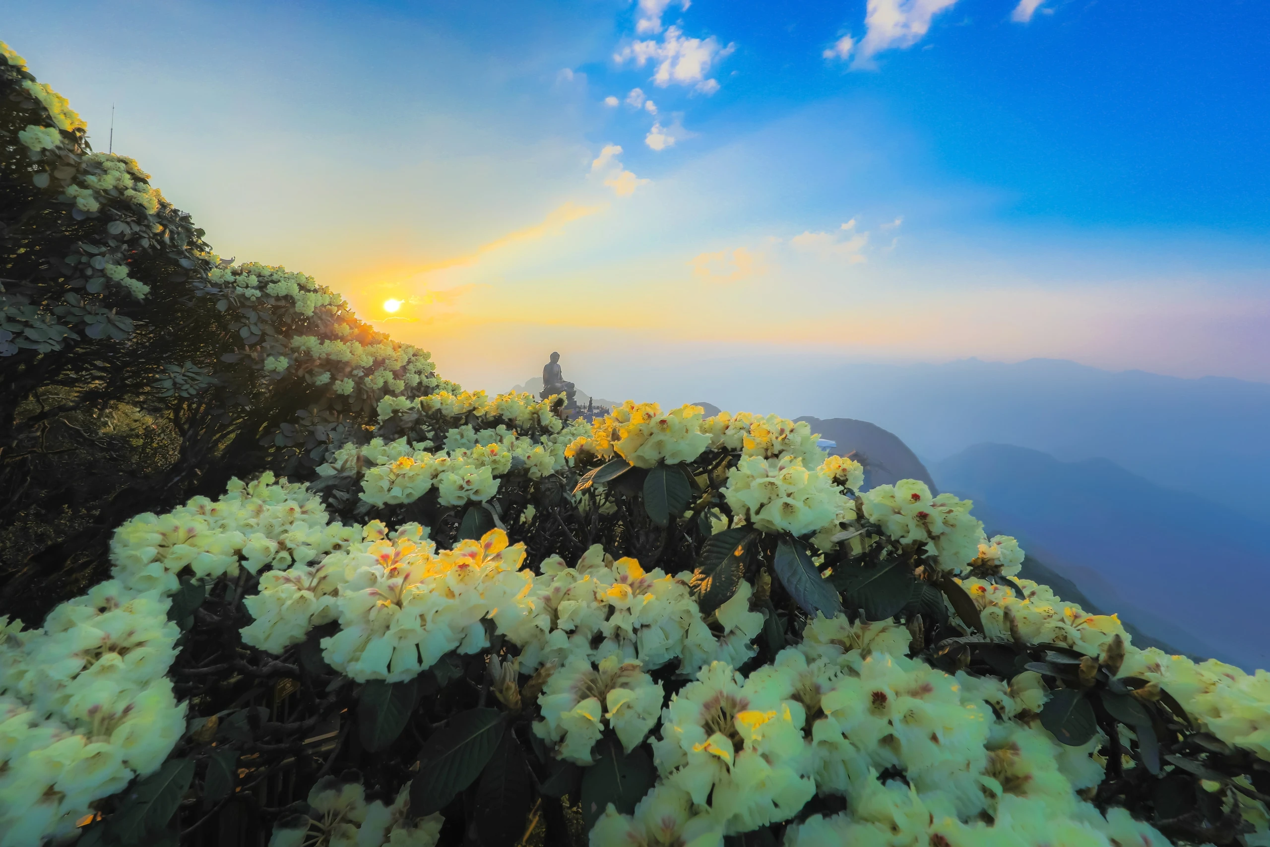 السياحة الصيفية المبردة في فانسيبان