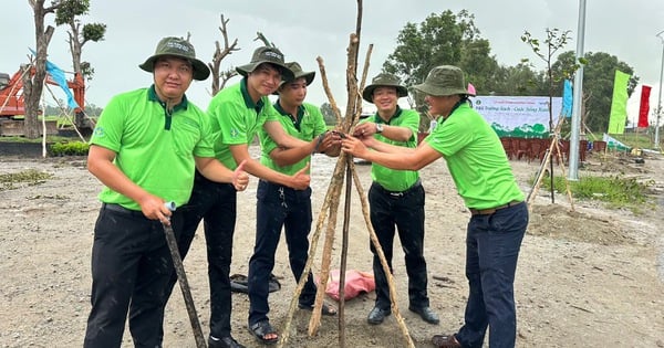 Nông dân Cần Thơ, Kiên Giang phấn khởi hoạt động của Syngenta ngày môi trường thế giới