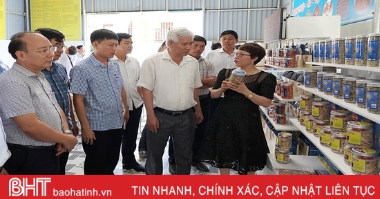 Những cơ sở OCOP do phụ nữ Hà Tĩnh làm chủ 