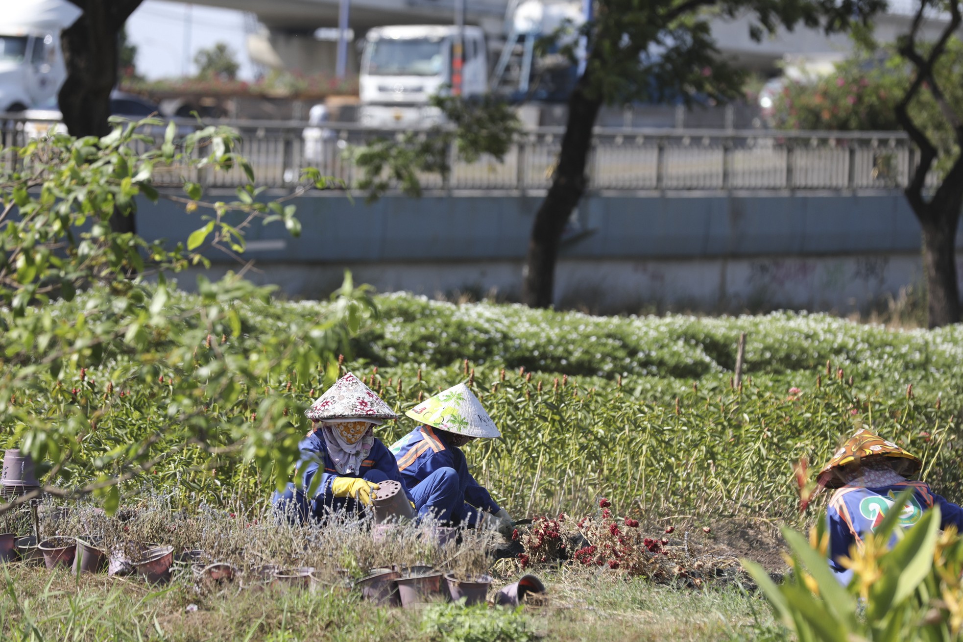 Ho Chi Minh City residents struggle under the heat of nearly 38 degrees Celsius photo 8