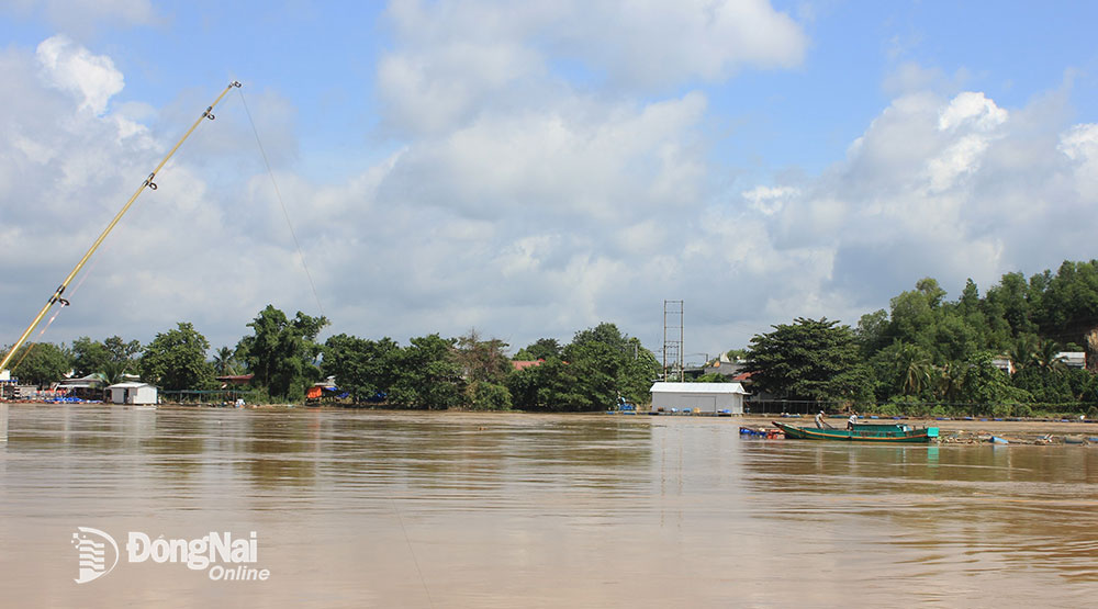 Les fermes piscicoles de la commune de Phu Thinh, district de Tan Phu, ont été déplacées vers une zone sûre.