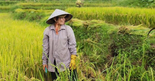 Người phụ nữ Tày tạo sinh kế cho phụ nữ yếu thế giữa đại ngàn