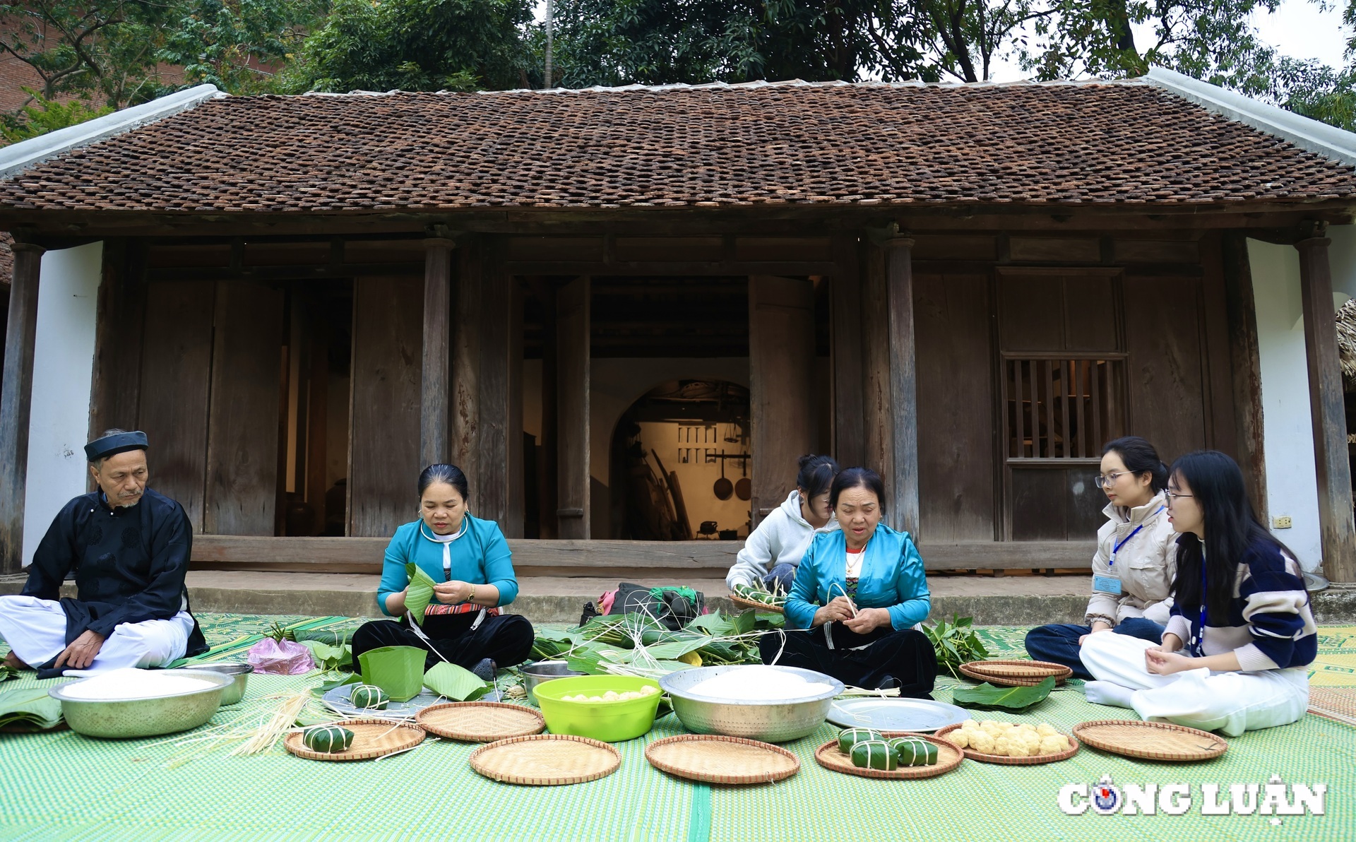 How do people in Binh Duong plant flowers on Tet holiday 2025? Picture 5