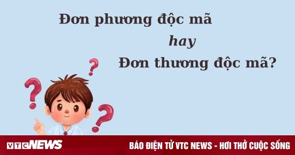 'Đơn phương độc mã' hay 'đơn thương độc mã' mới chuẩn thành ngữ