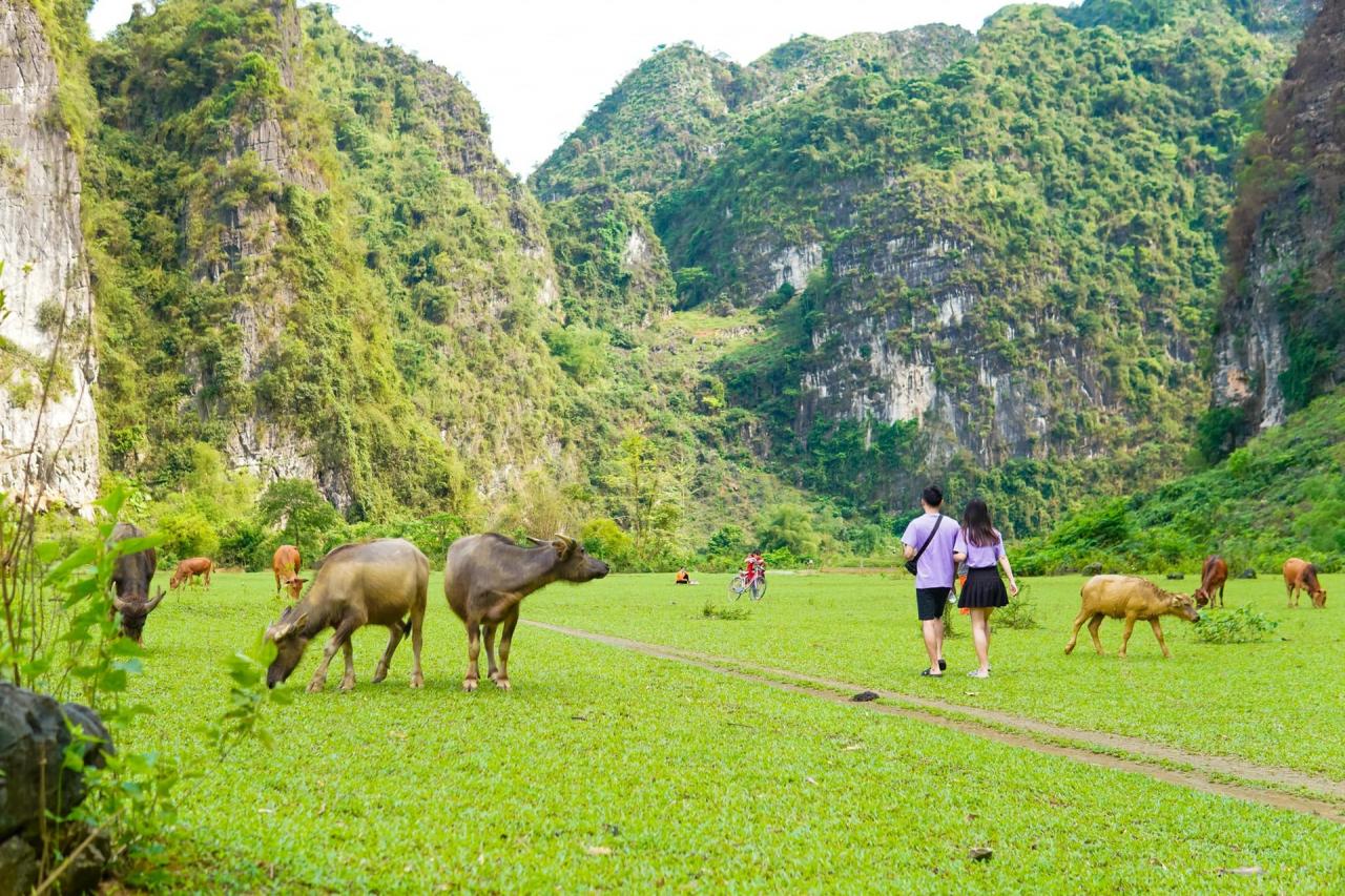 Thảo nguyên cách Hà Nội 2 giờ chạy xe, đẹp như Mông Cổ thu nhỏ - 8