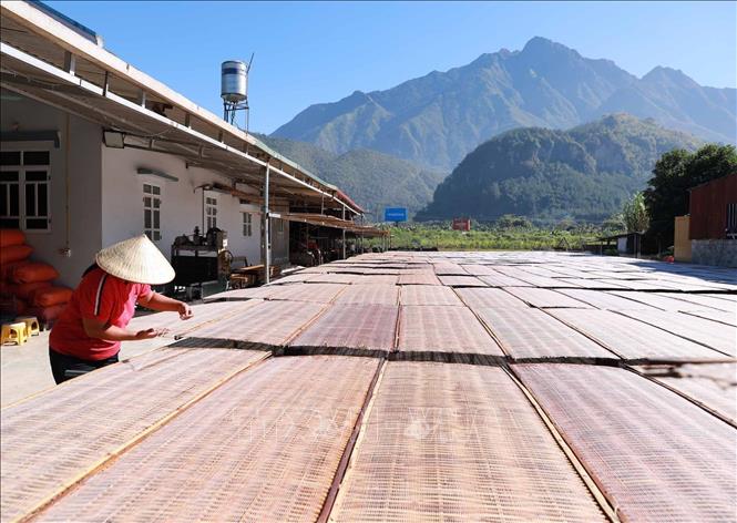 ចំណងជើងរូបថត