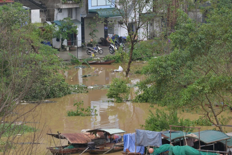 Die Überschwemmungen des Thao-Flusses überschreiten das historische Niveau, steigende Wasserstände des Roten Flusses wirken sich auf einige Gebiete in Hanoi aus, Foto 26