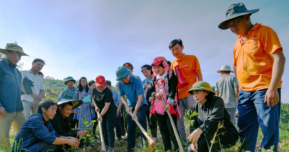 Muong Khuong district deploys new tea planting season in 2023