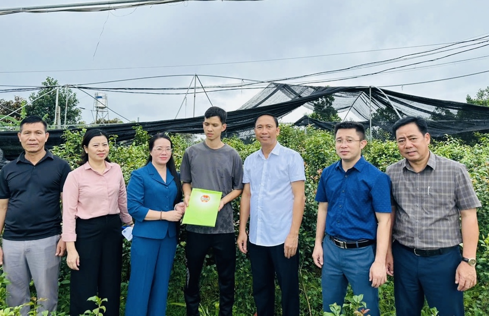 Asociación de Agricultores de Hanoi: apoyo a los agricultores para superar las consecuencias de la tormenta n.º 3 - Foto 1