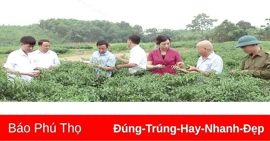 Nâng cao chất lượng công tác của cán bộ, công chức cơ sở